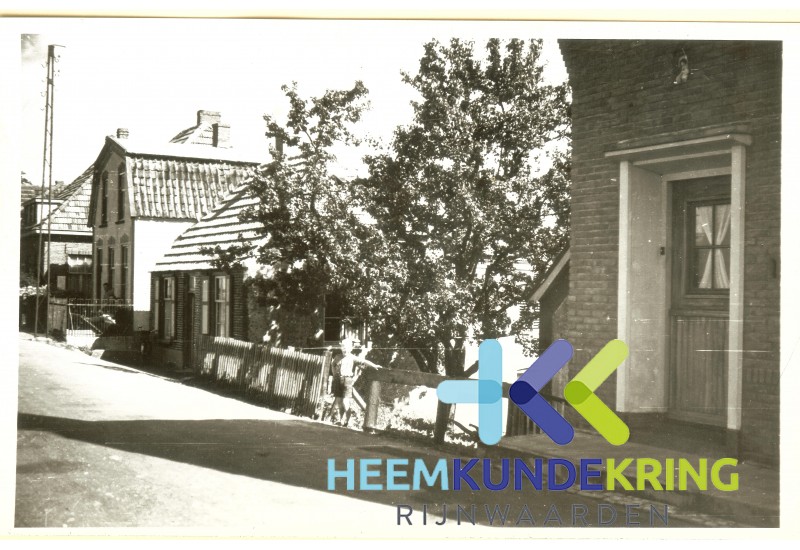 1949-50 8